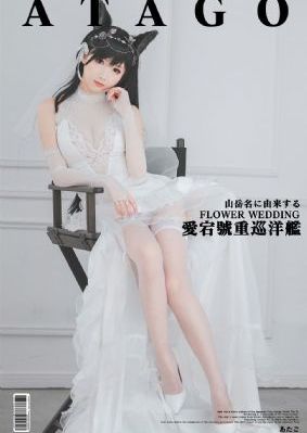 高清完整版免费观看电视剧_BD日本电影免费